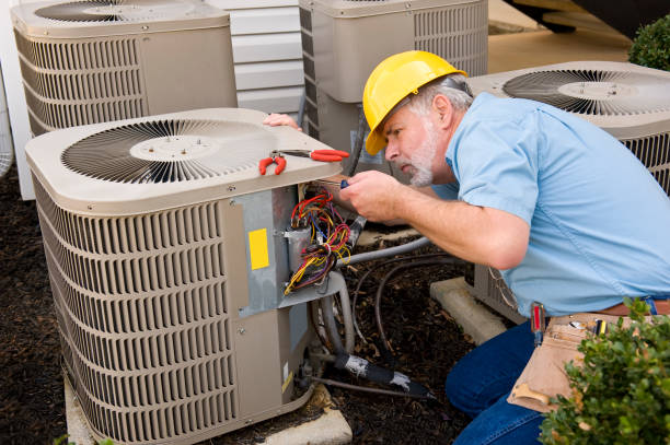 Best HVAC Air Duct Cleaning  in Laupahoehoe, HI