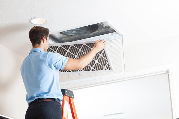 Best Affordable HVAC Services  in Laupahoehoe, HI